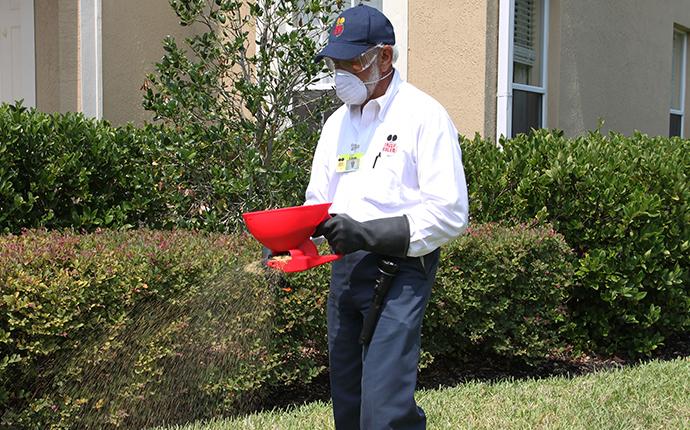 man spreading pest control